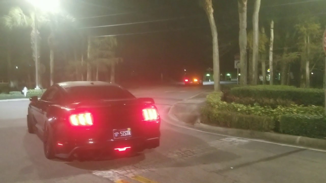 LOUD Coyote Mustangs AMAZING Sounds!