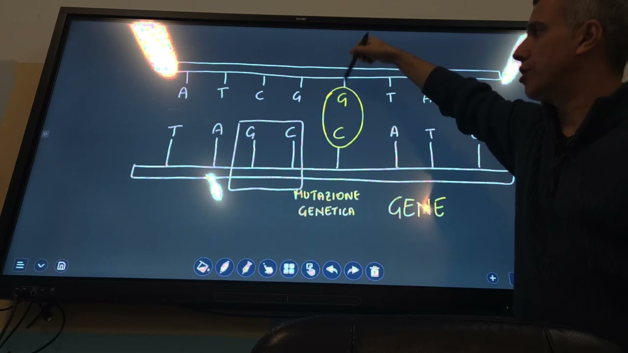Le mutazioni genetiche