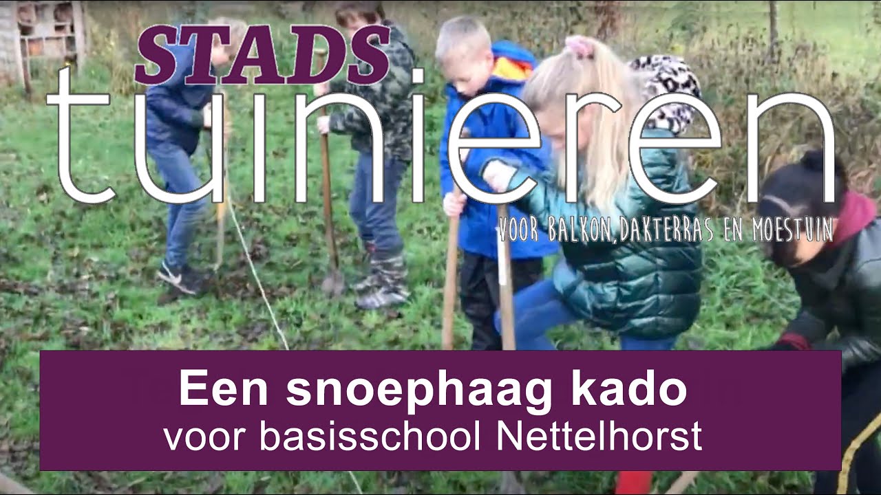 Stadstuinieren - een snoephaag kado - voor basisschool de Nettelhorst #moestuin