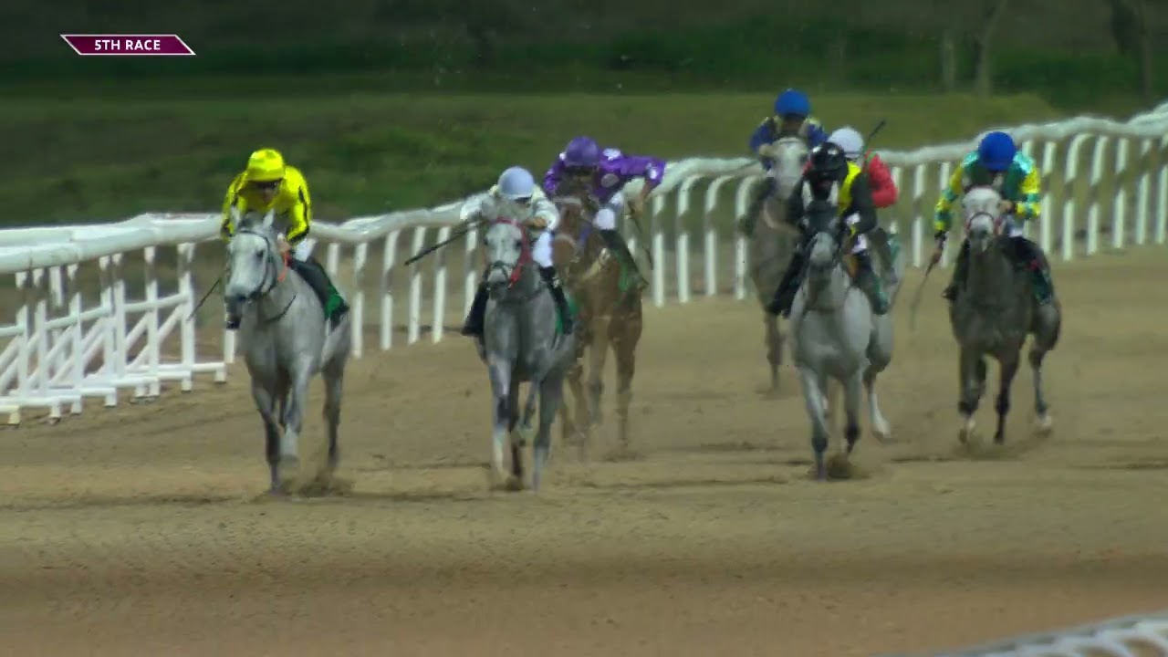 Al Ain 240126 Race 5