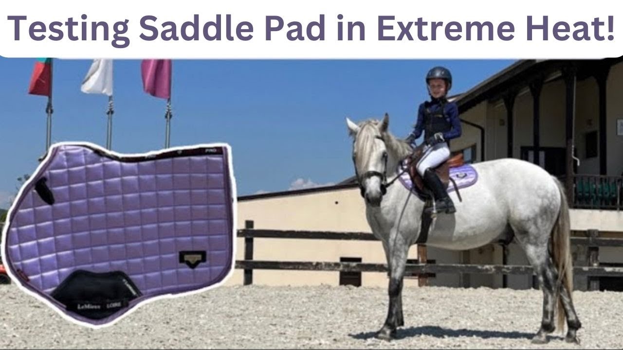 Is it the Greatest Saddle Pad on the Market? - Lemieux on a Week of Intense Usage