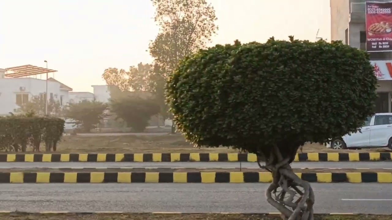 City housing Sialkot,  block F. Visit kia. 