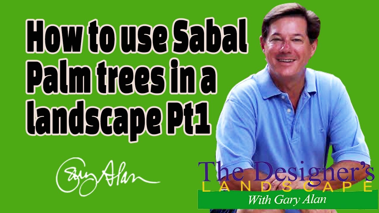 How to use Sable Palms in a Landscape Pt 1 DesignersLandscape#608
