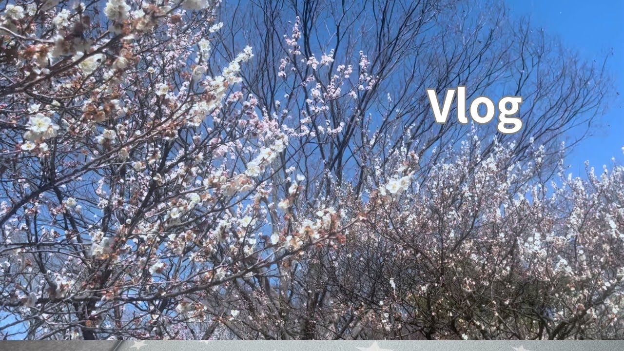 【Vlog】陶器市へ｜購入品紹介と娘との穏やかな休日