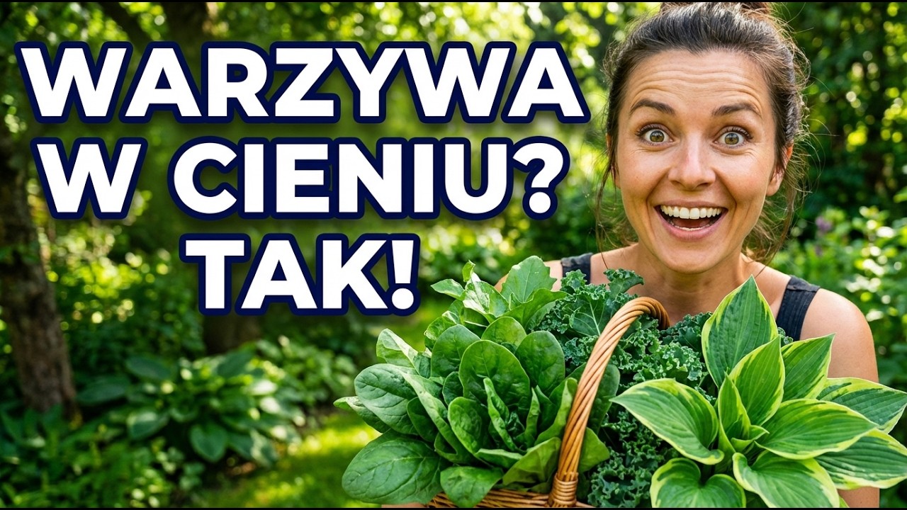 Brak słońca? Żaden problem! 15 warzyw lubiących cień, których musisz spróbować