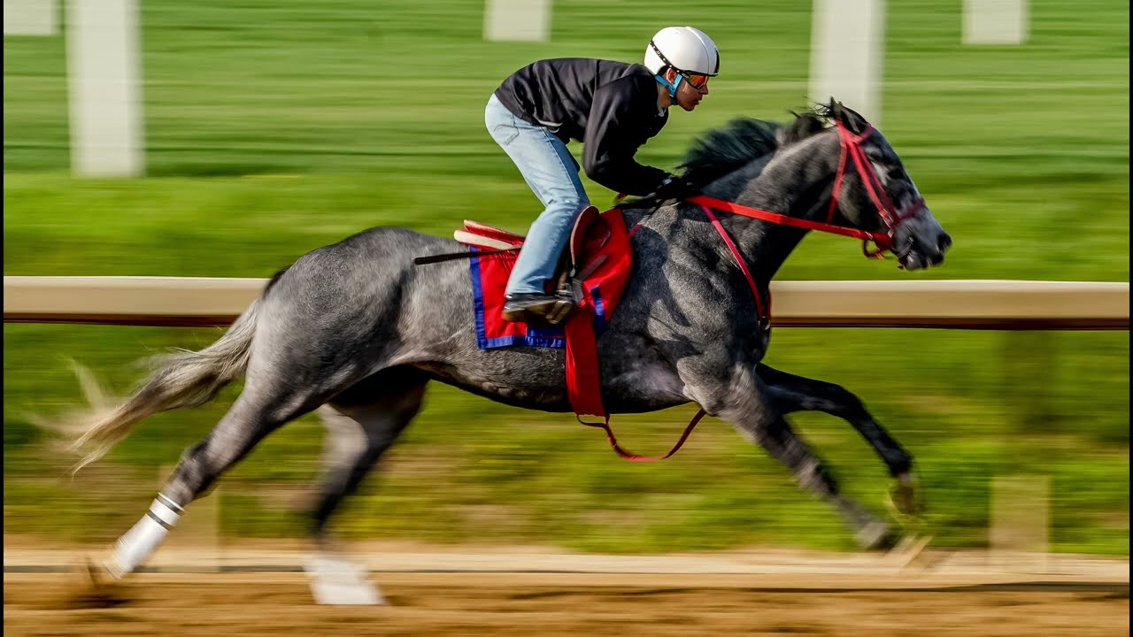 Waiting for the moment: Axel Concepcion & the apprentice jockey's journey