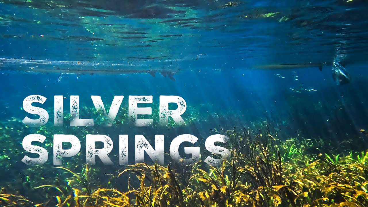 Kayaking Through Florida&rsquo;s Clearest Spring | Silver Springs, Florida