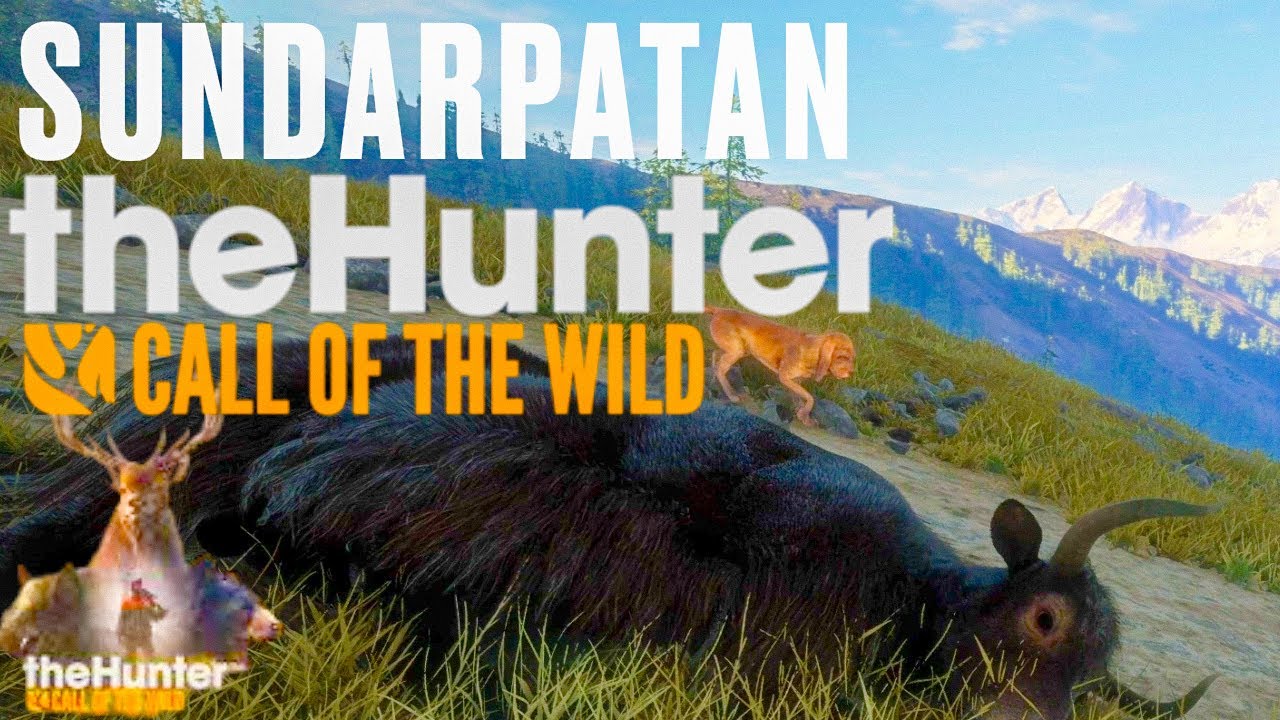 ОХОТИМСЯ НА СЕВЕРЕ ЗАКАЗНИКА «СУНДАРПАТАН» ~TheHunter Call of the Wild