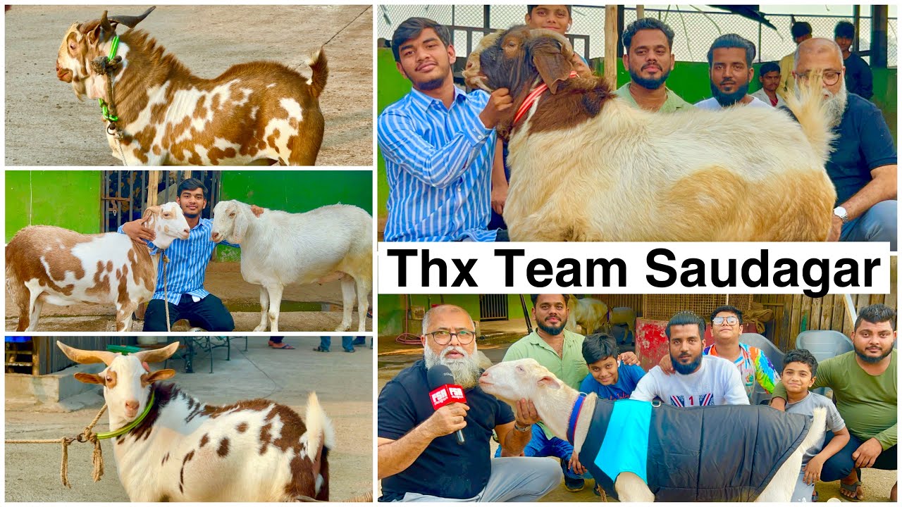 JD Goat Farm Sunday Marathon Featuring Team Saudagar Surat