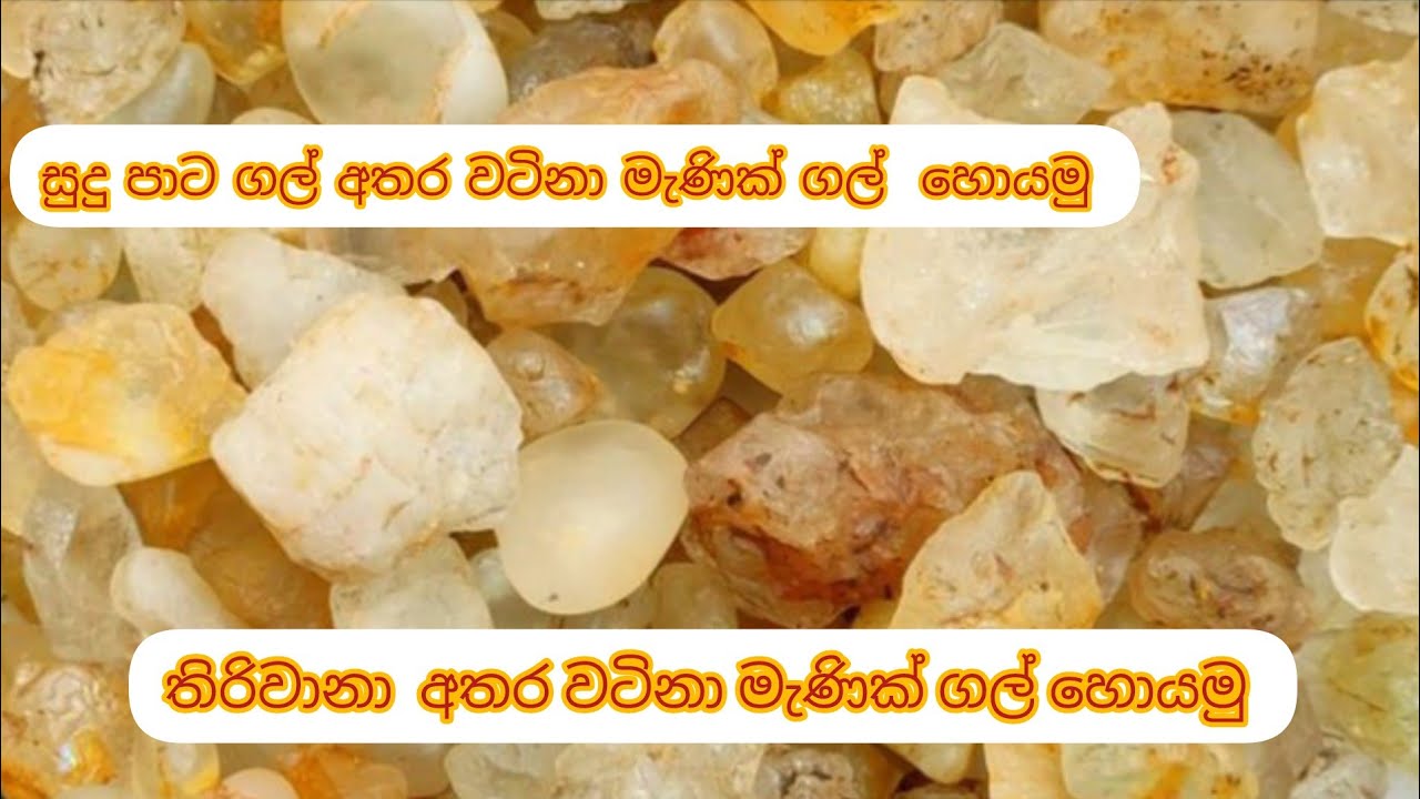සුදු පාට ගල් අතර වටිනා මැණික් ගල් හොයමු.තිරිවානා  අතර වටිනා මැණික් ගල් හොයම@sri lanka gems #nature
