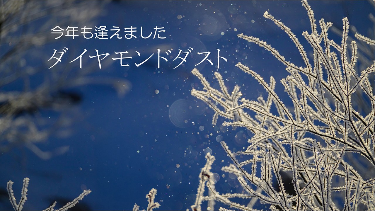 今年も逢えました　ダイヤモンドダスト
