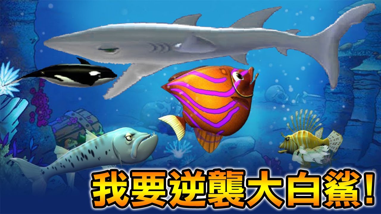 【吞食魚】童年殺時間療癒神作！吃到登上食物鏈的頂端｜Feeding Frenzy