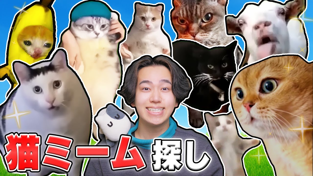 かわいすぎる『猫ミーム』をたくさん見つけたいロブロックス！【ROBLOX】