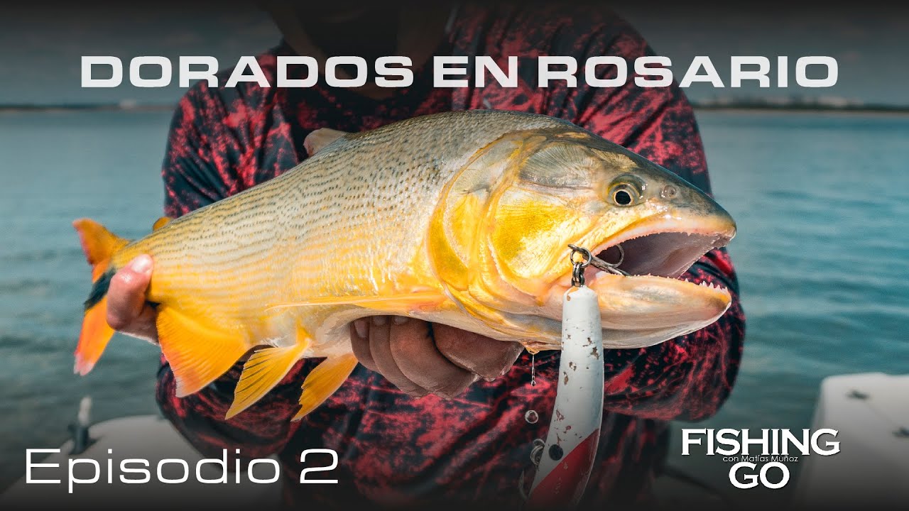 Pesca en Rosario! / Episodio 2 - FISHING GO