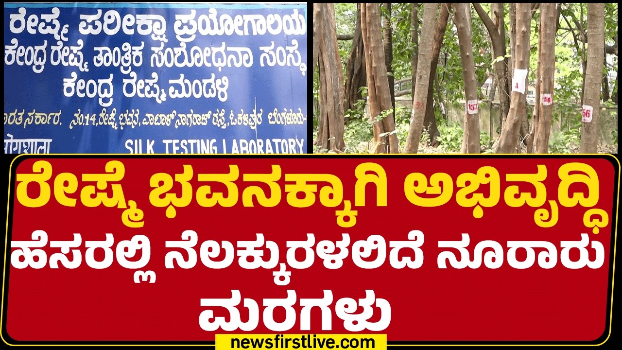 GBA : 628 ಮರಗಳ ಪೈಕಿ 53 ಮರಗಳನ್ನ ಮಾತ್ರ ಉಳಿಸಲು ನಿರ್ಧಾರ | Silk Bhavan | @newsfirstkannada