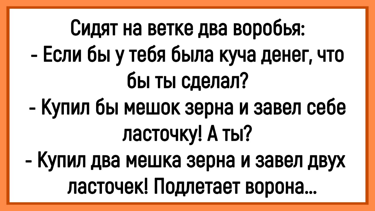 💁‍♂️Как Два Воробья Мечтали Богатыми Стать! Сборник Смешных Анекдотов! Юмор! Позитив!
