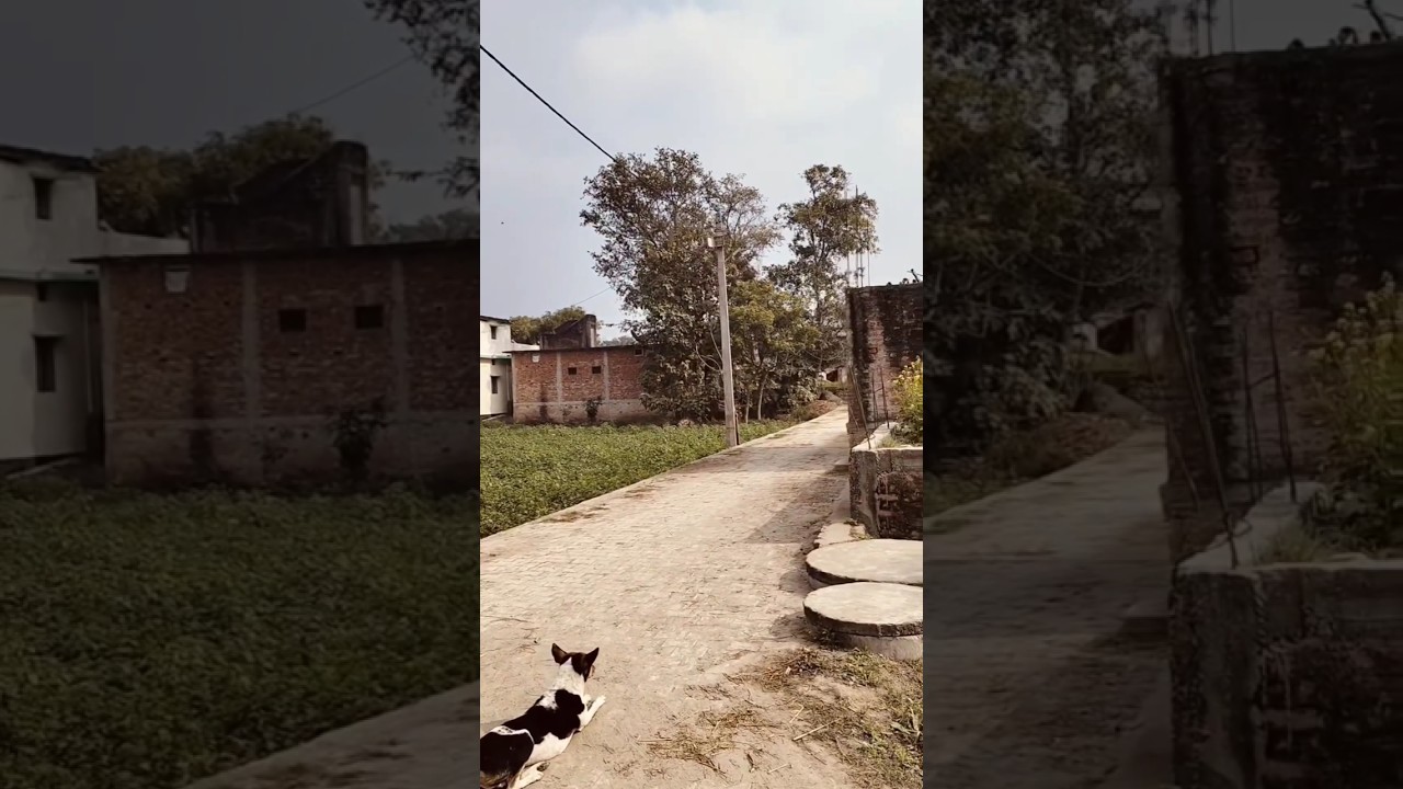 Deko dosto ye kya dekh rhaa ahy 