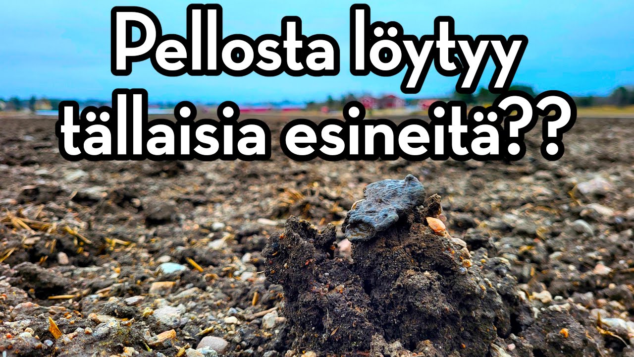Metallinetsintää - Laitilan pelloilla AARREJAHDISSA!