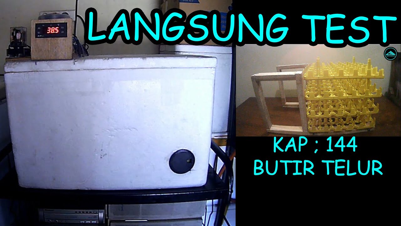 Membuat Mesin Tetas Dari Box Styrofoam / Sterofom / Gabus | Penetasan Telur | Hatchery
