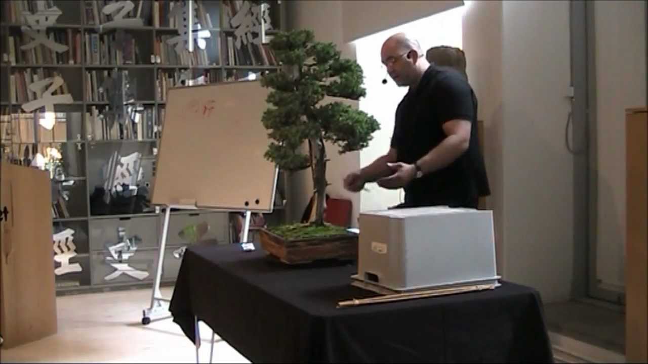 Svenska BonsaiSällskapet. Bonsai bedömning_John Armitage_Juniperus chinensis (Kinesisk en)_2012/09