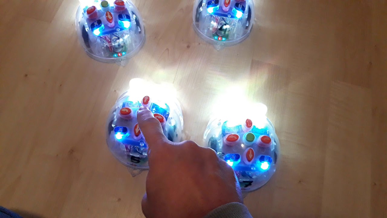 Blue-bot not working