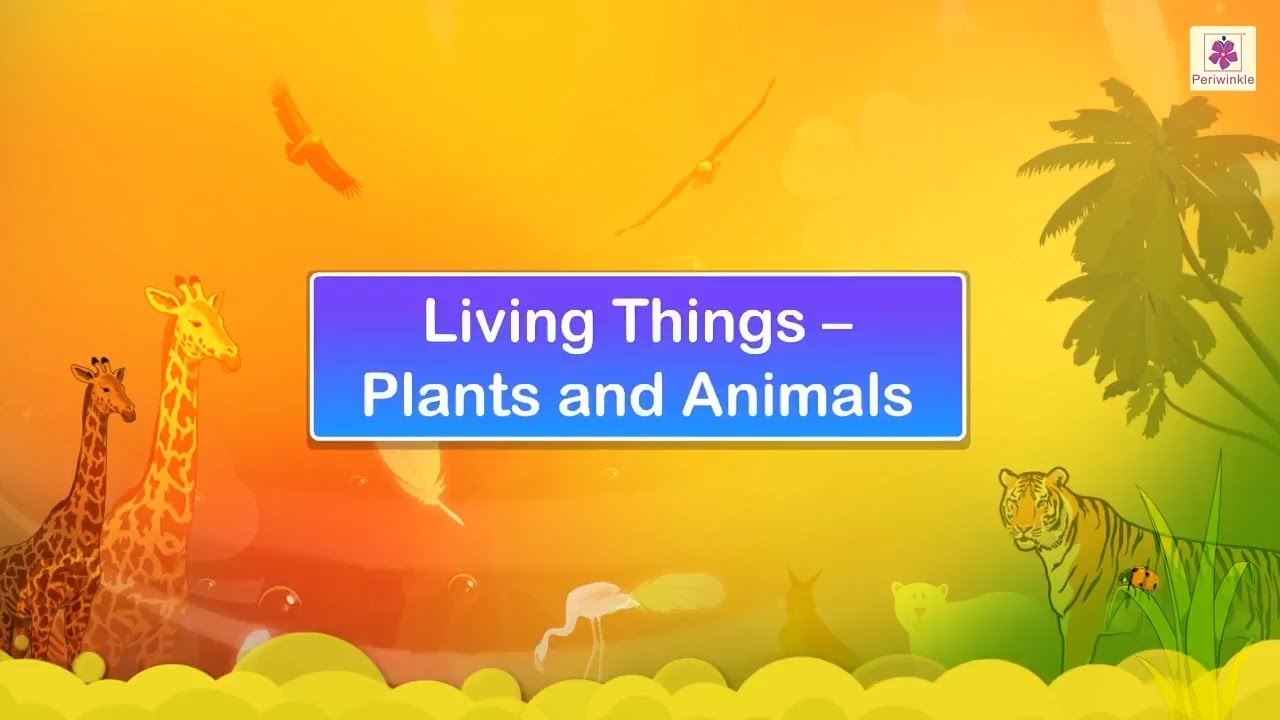 Living Things &ndash; Plants and Animals | Science Video For Kids | Periwinkle