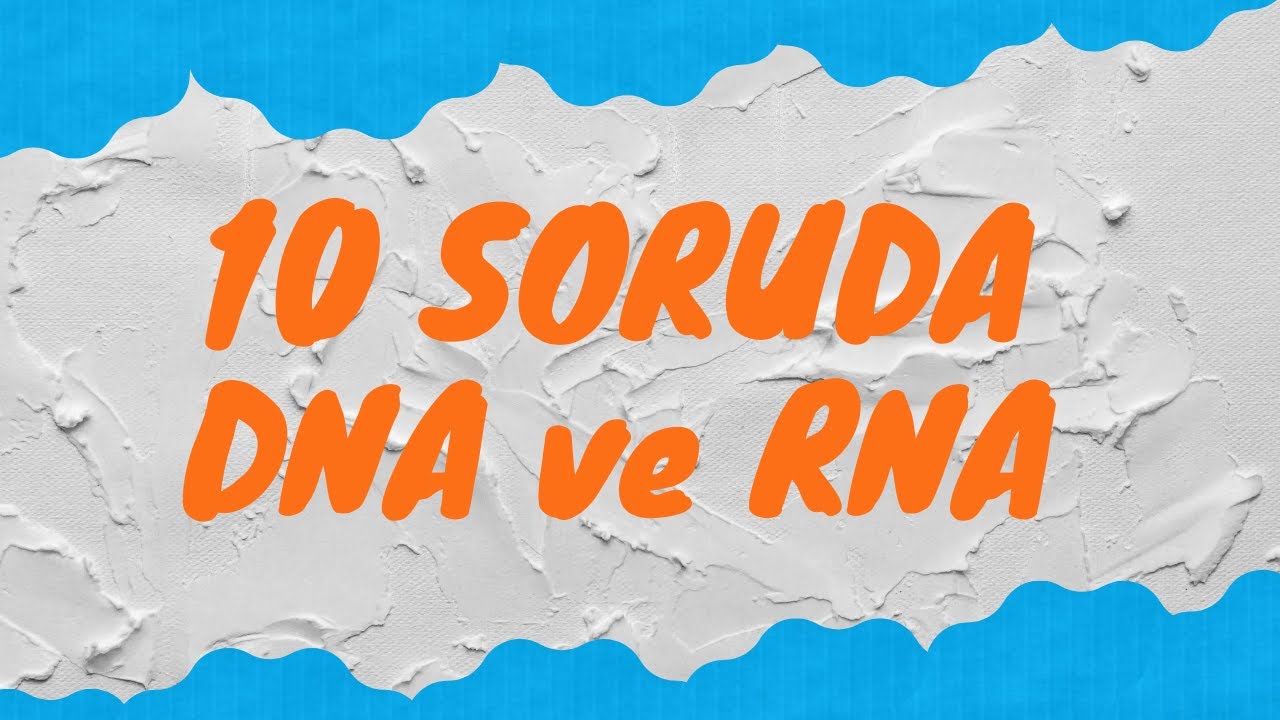 10 SORUDA DNA ve RNA  |  10 soruda BİYOLOJİ |