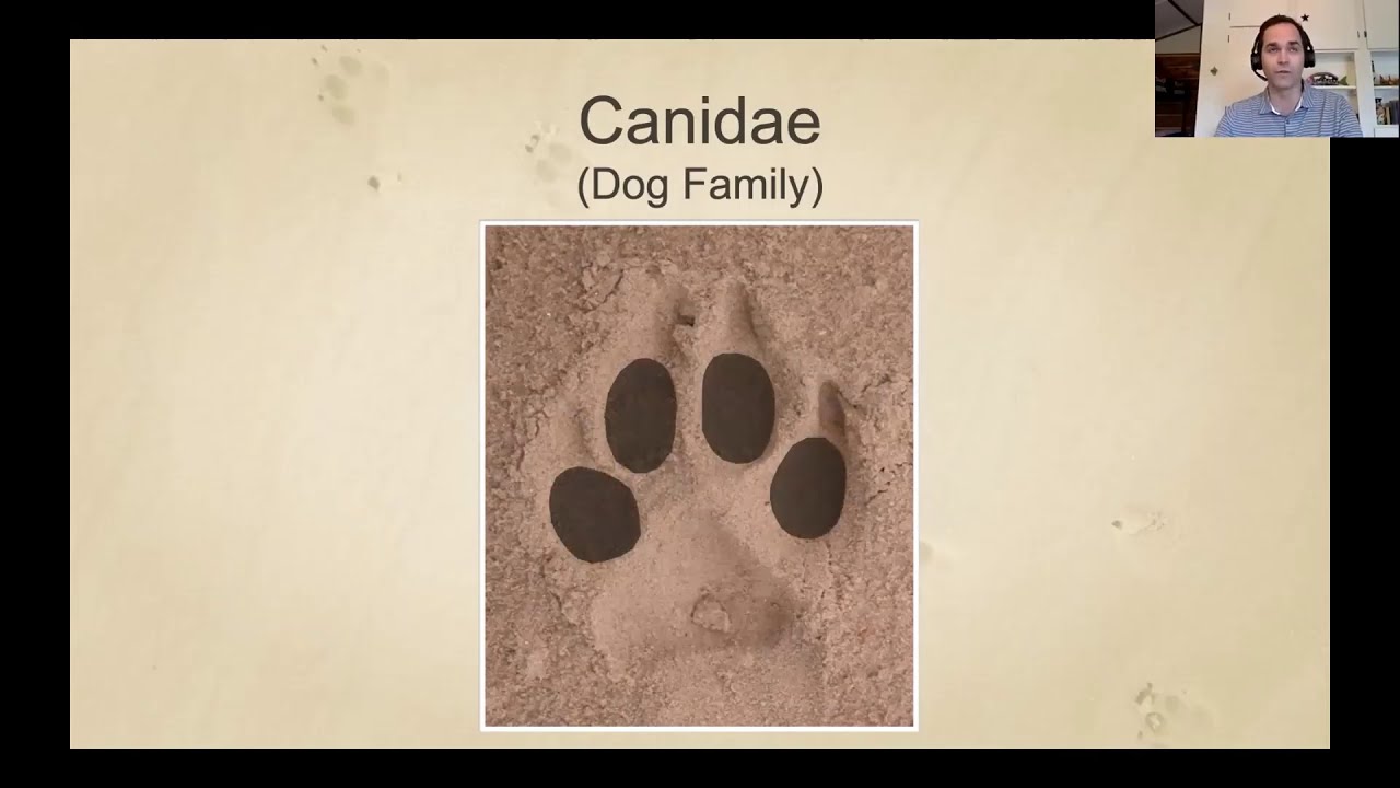 Wild Neighbors: Animal Tracks and Signs - The Language of Nature