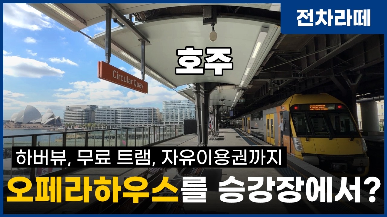 블랙박스 영상 제보 각? 58년만에 서울에 부활하는 트램은 어떻게 될까...
