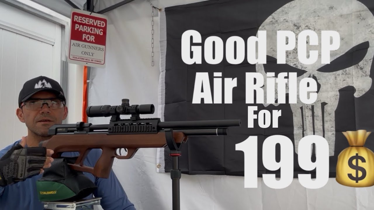 Best PCP Air Rifle for under 200💲 Beeman 1358 Underlever 22 cal.
