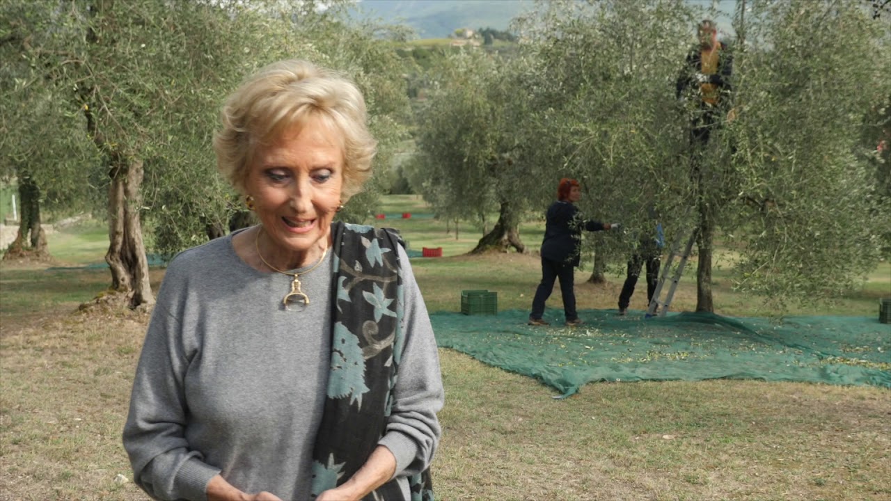 30 Emerald Green Harvests | Frescobaldi Laudemio Olive Oil | ENGLISH Version