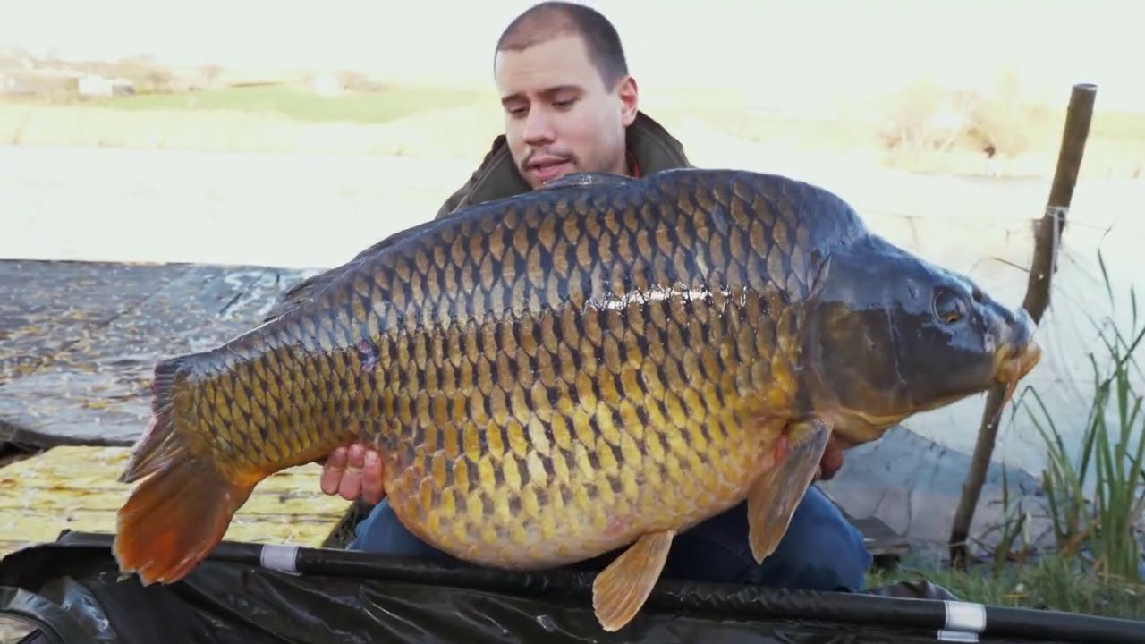 Populare de crapi si ciparea acestora ( Fishing & Hunting Romania )
