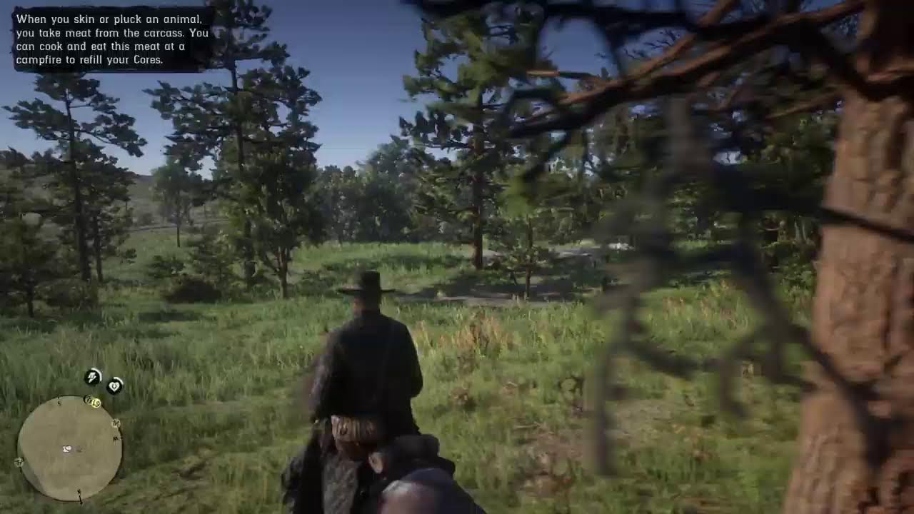 Replaying RDR2 for my third time frfr