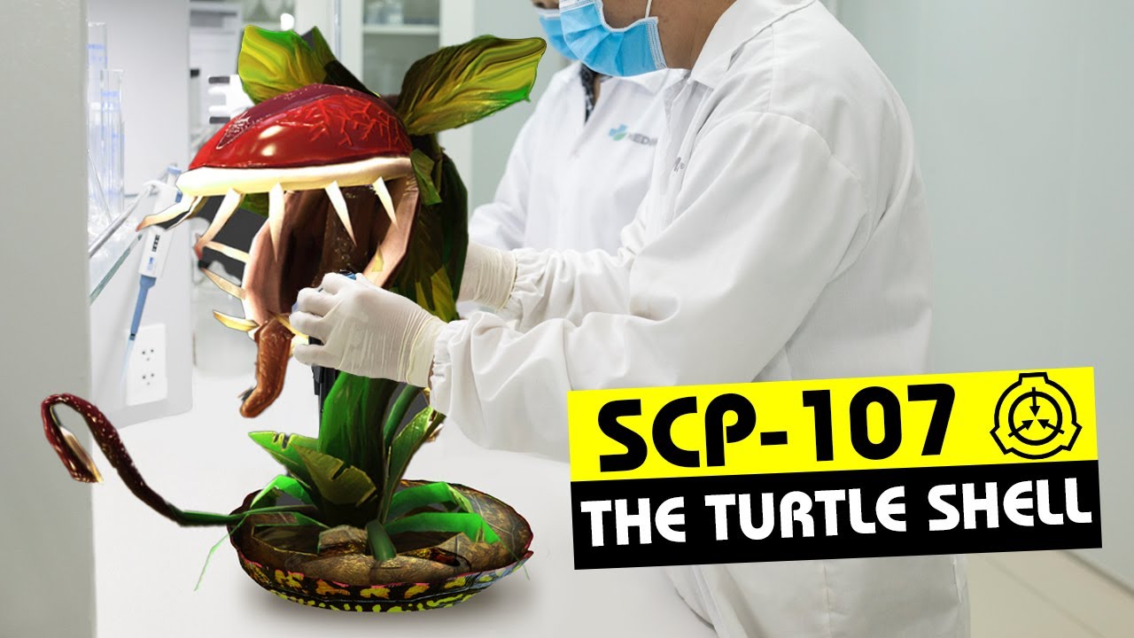 SCP-107 | The Turtle Shell (SCP Orientation)