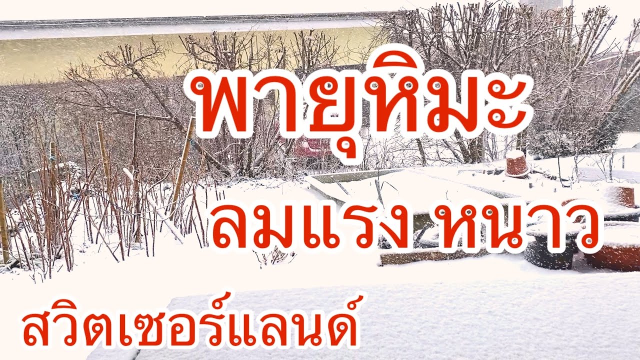 พายุหิมะตกทั้งวันหนาวลมแรงมากๆ สวิตเซอร์แลนด์