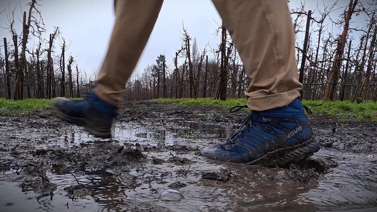 A wet winter hike in Kent, UK