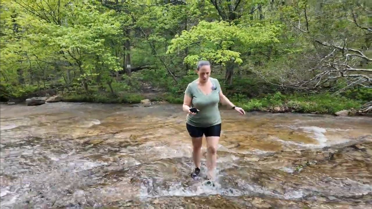 Searching For Old Mines But Ended Up On The Wrong Trail At St. Francois State Park MO