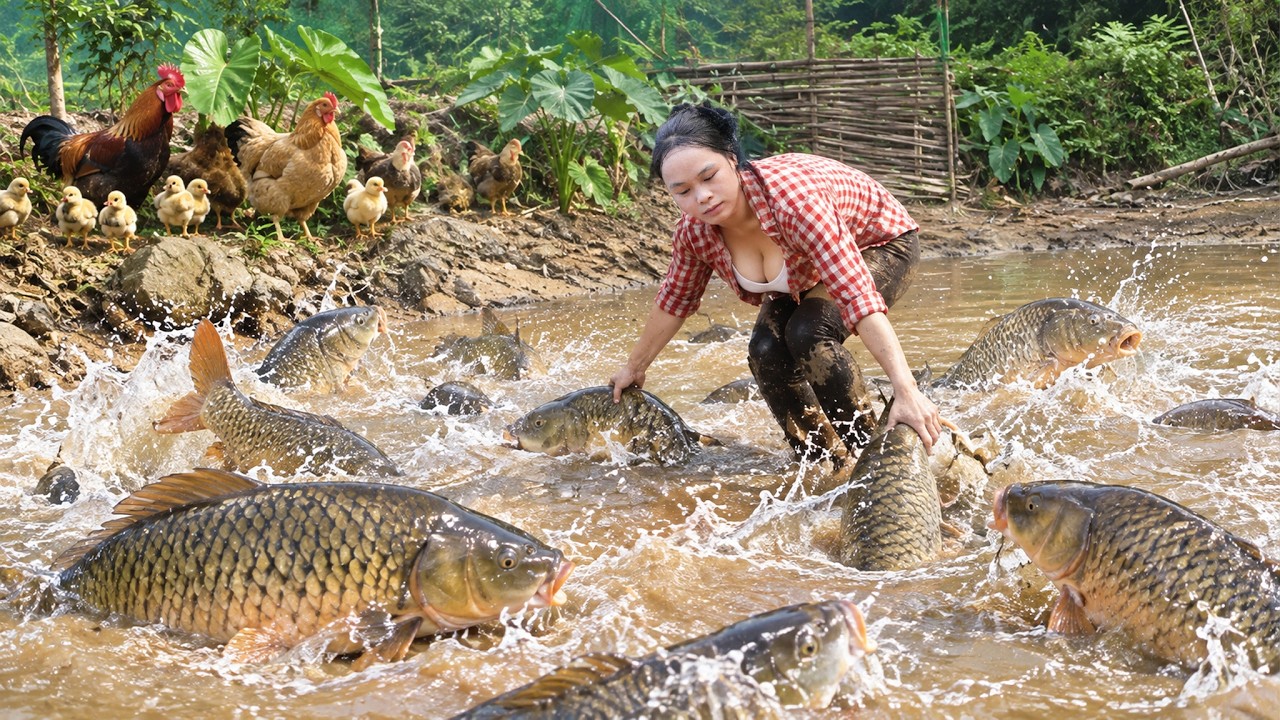 Traditional Fishing Skills - Amazing Fish Trap Catch Giant Carp & Catfish!