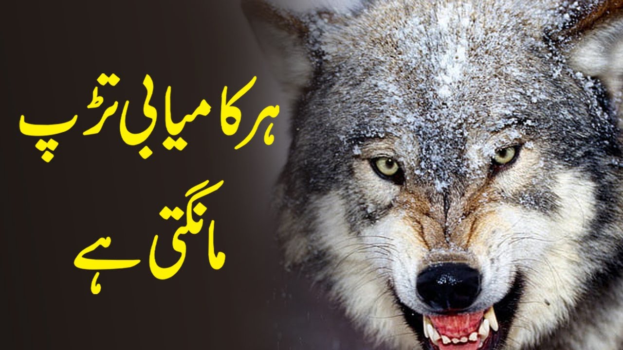 World's Best Motivational Video In Urdu - YES YOU CAN - Best Motivational Speech for Success in Life