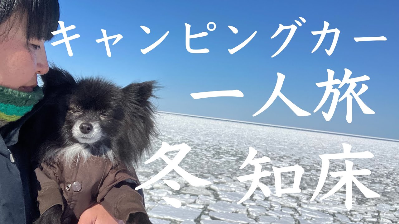 【冬の北海道、犬連れソロ車中泊旅】知床の漁港で流氷見ながら車中泊！知床の流氷は…まさに芸術そのものだった…〜『流氷7泊8日キャンピングカー旅⑥』