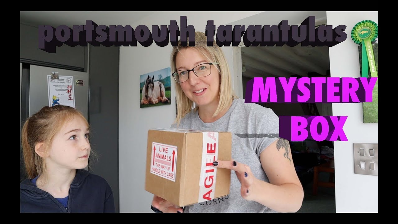 £60 Portsmouth Tarantulas Mystery Box