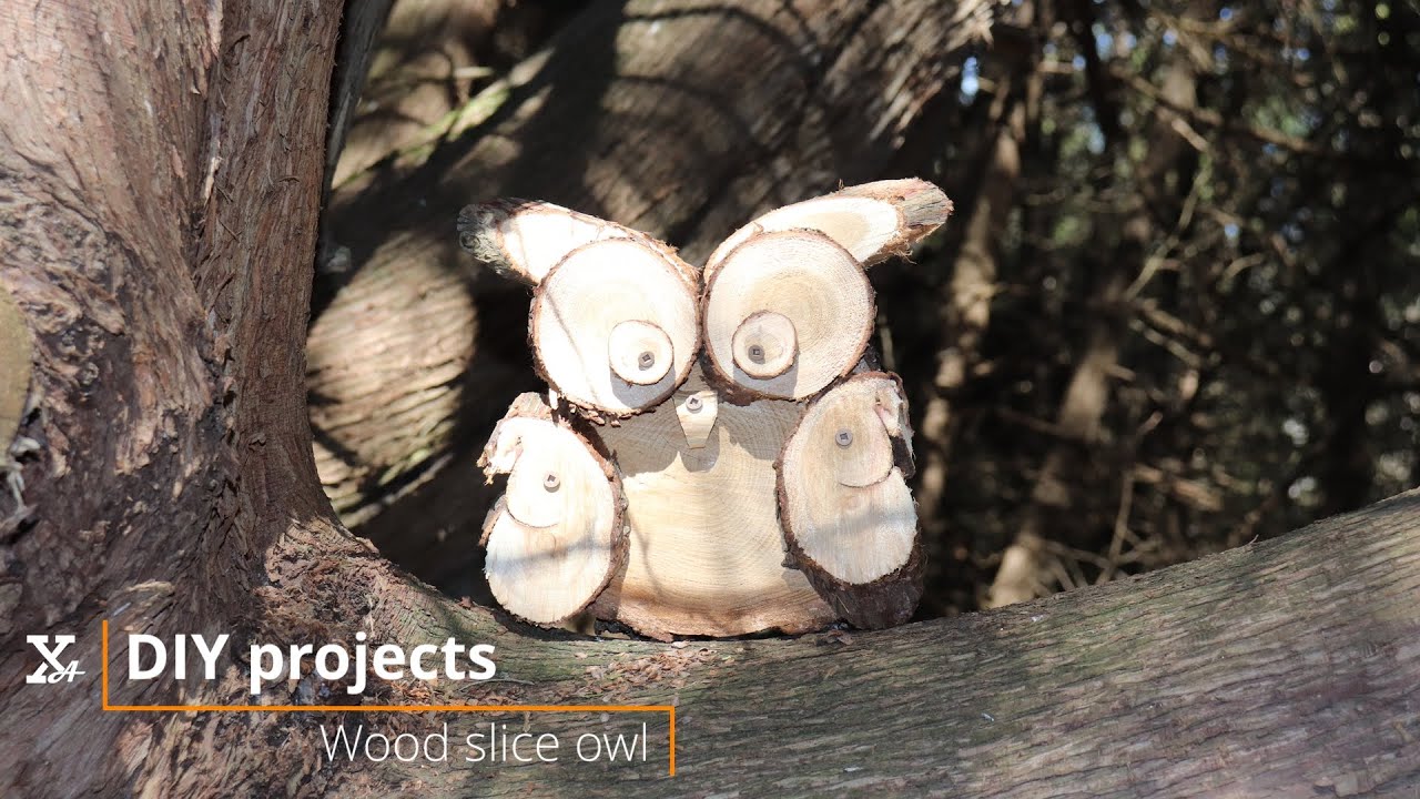 Cute wood slice owl, easy DIY project with minimum tools, step-by-step