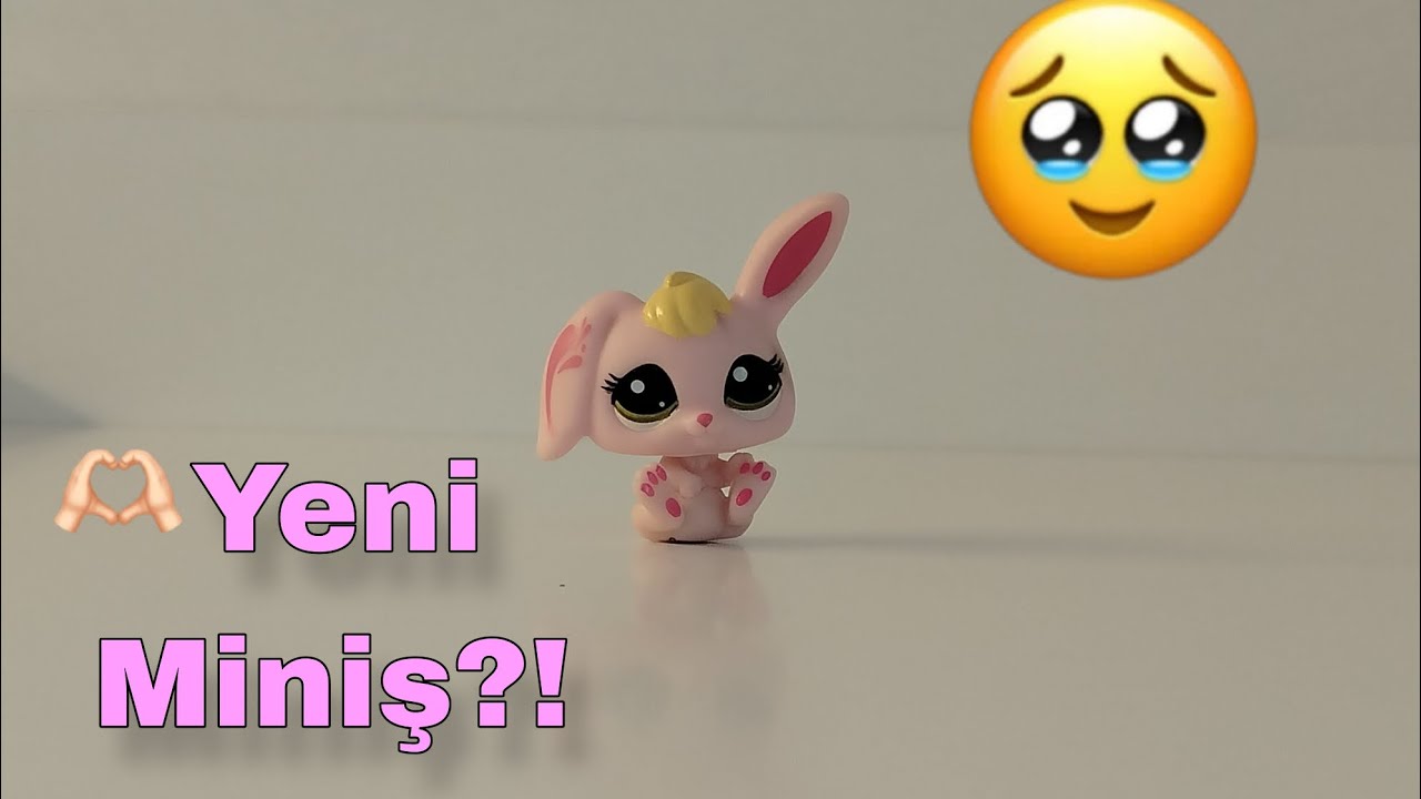 2. Seri Miniş Açılımı! • KANALIMIN ADINI NEDEN LPS PUFFY YAPTIM? | LPS Puffy
