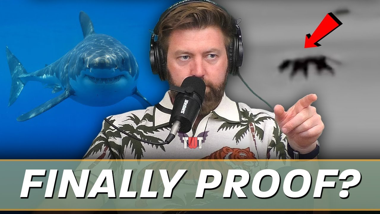 Potential Thylacine Footage Review, Dangerous Shark Diving & Rare White Beaver Spotted