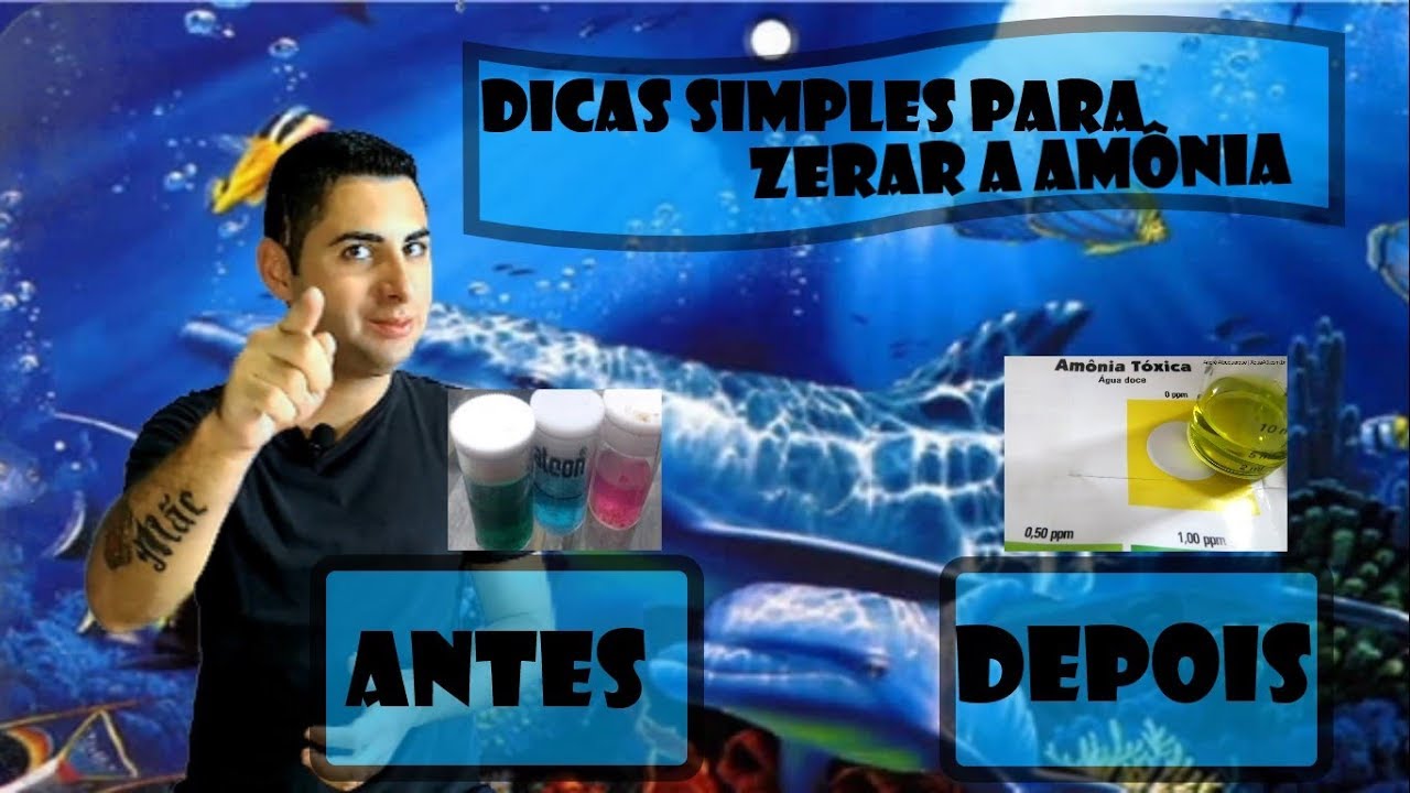 Dicas Simples para Zerar sua Amônia