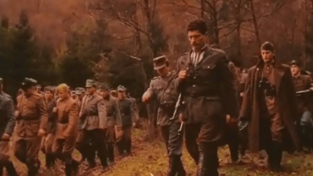 Гей степами