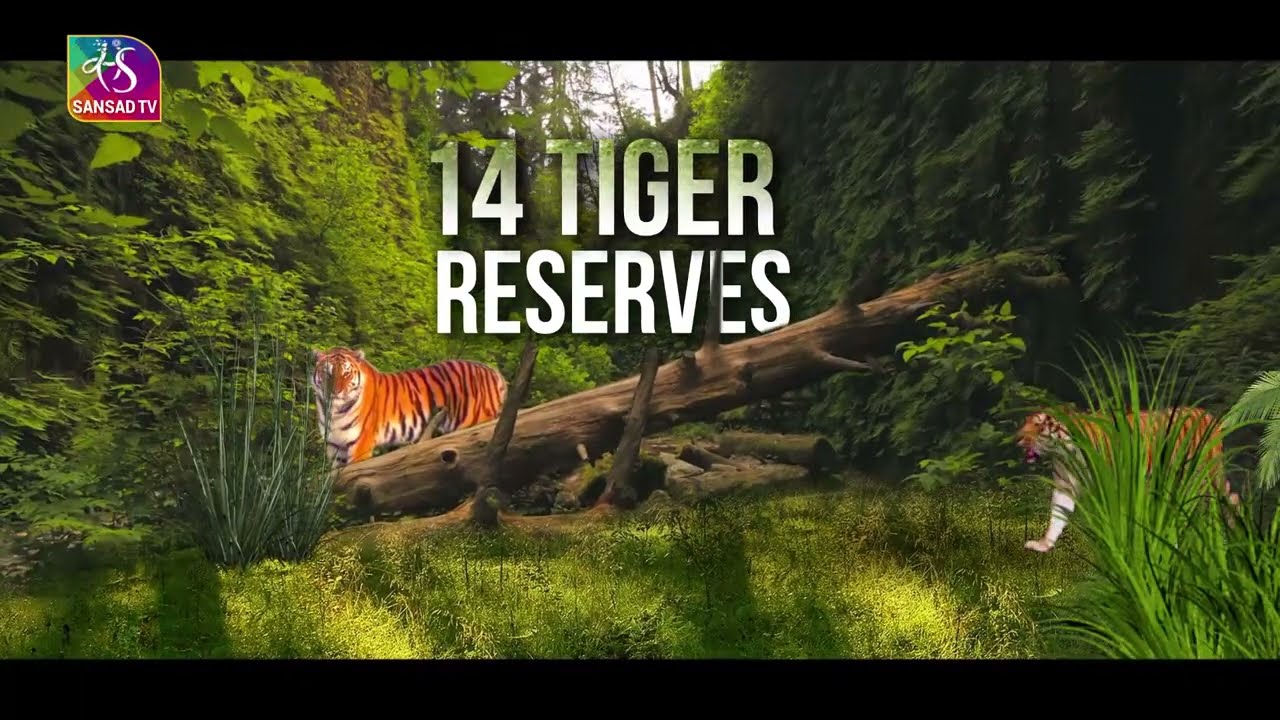 Milestones Series: Project Tiger in India | 05 November, 2022