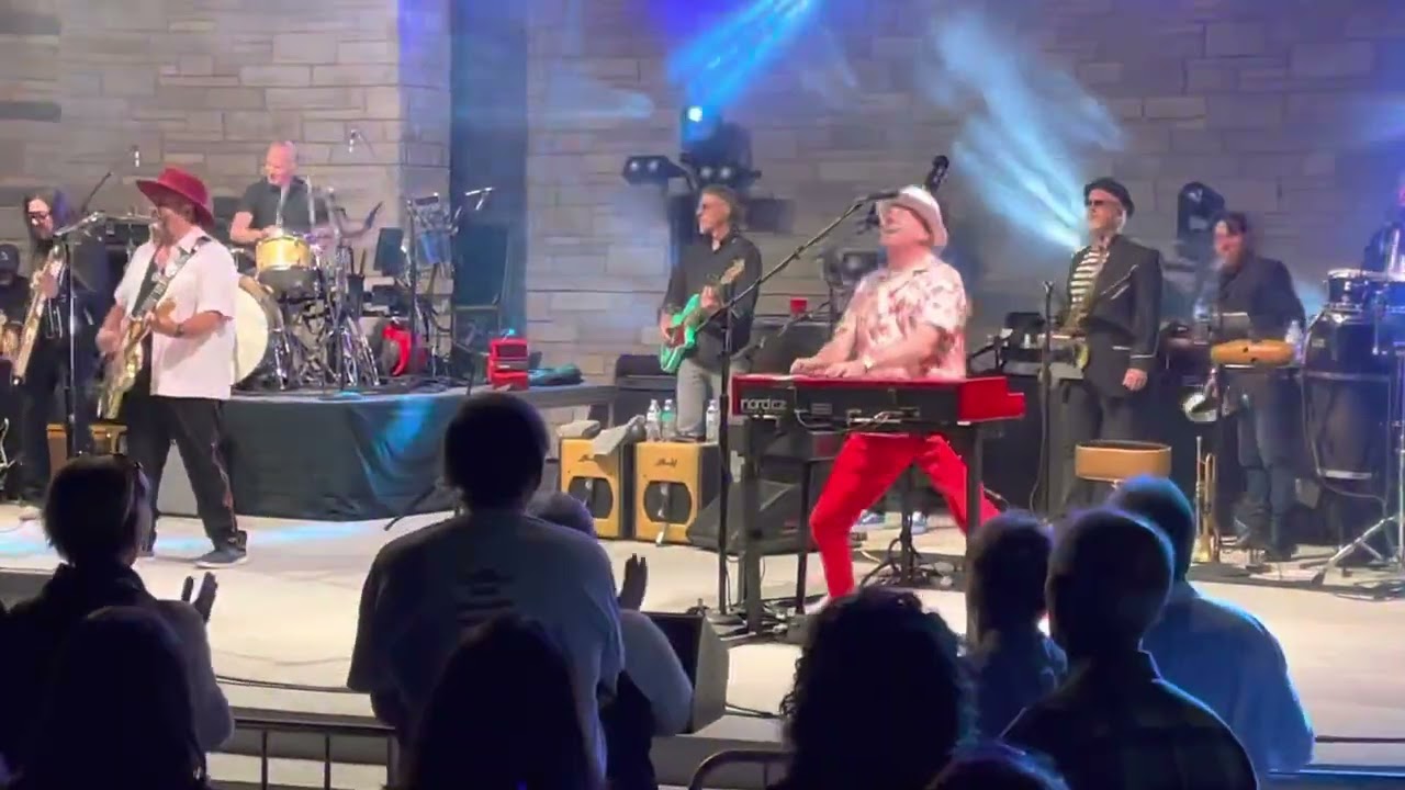 The Mavericks-All you ever do is bring me down