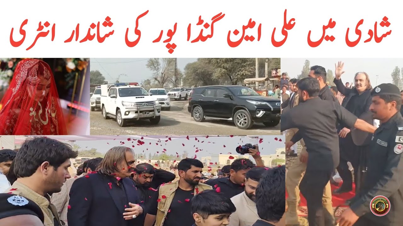 Abdul Rahim Khan Niazi Wedding | Ali Amin Gandapur Protocol In Rahim Niazi Wedding | Tauqeer Baloch