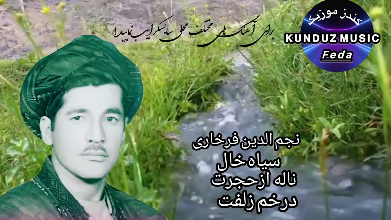 نجم الدین فرخاری - سیاه خال - ناله از حجرت - در خم زلفت